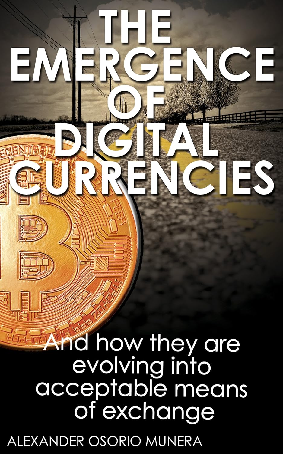 Digital Currencies: How They Work
